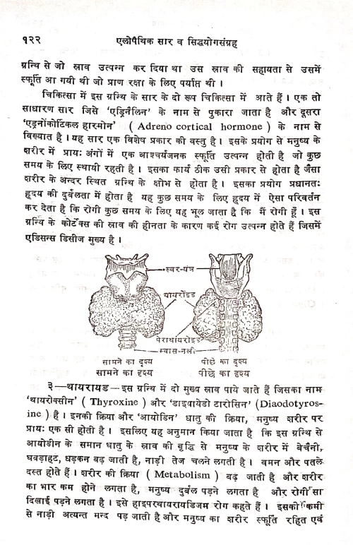 Aellopaithic Sara va Siddhayoga Samgraha
